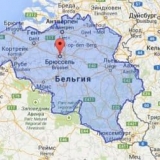 Koja je razlika između belgijske plave pasmine krava i drugih pasmi...